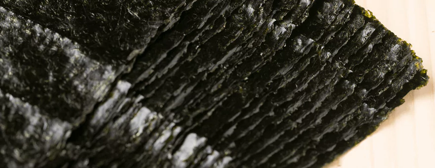 深谷商店の海苔のおすすめポイント